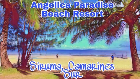 camarines sur beach resorts|Angelica Paradise Beach and Resort .